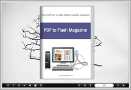 example/Flash_Magazine_Classical_Template/index.html