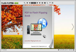 pdf to flash flipping book introduction demo