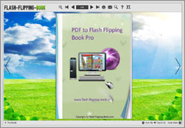pdf to flash flipping book professional introduction demo