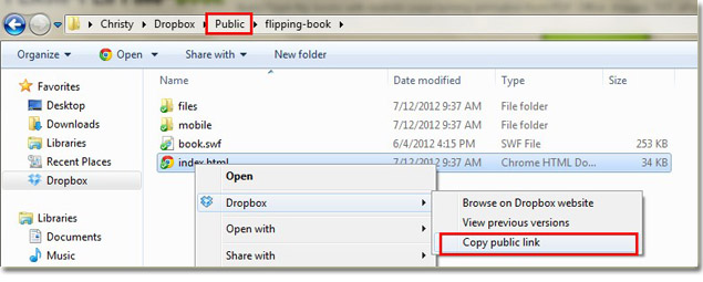 copy public link of flipbook