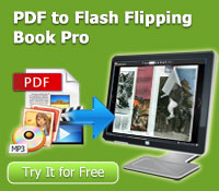 pdf to flash flipping book