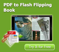 pdf to flash flipping book