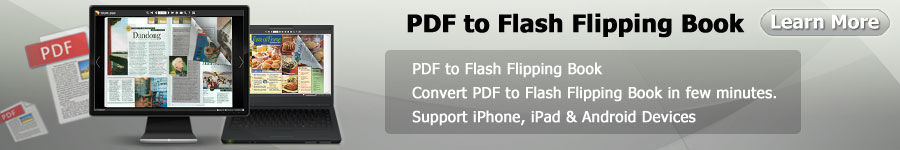 pdf to flash flipping book