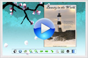 view demo